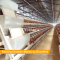 Design Automatic a Type Chicken Egg Layer Cages